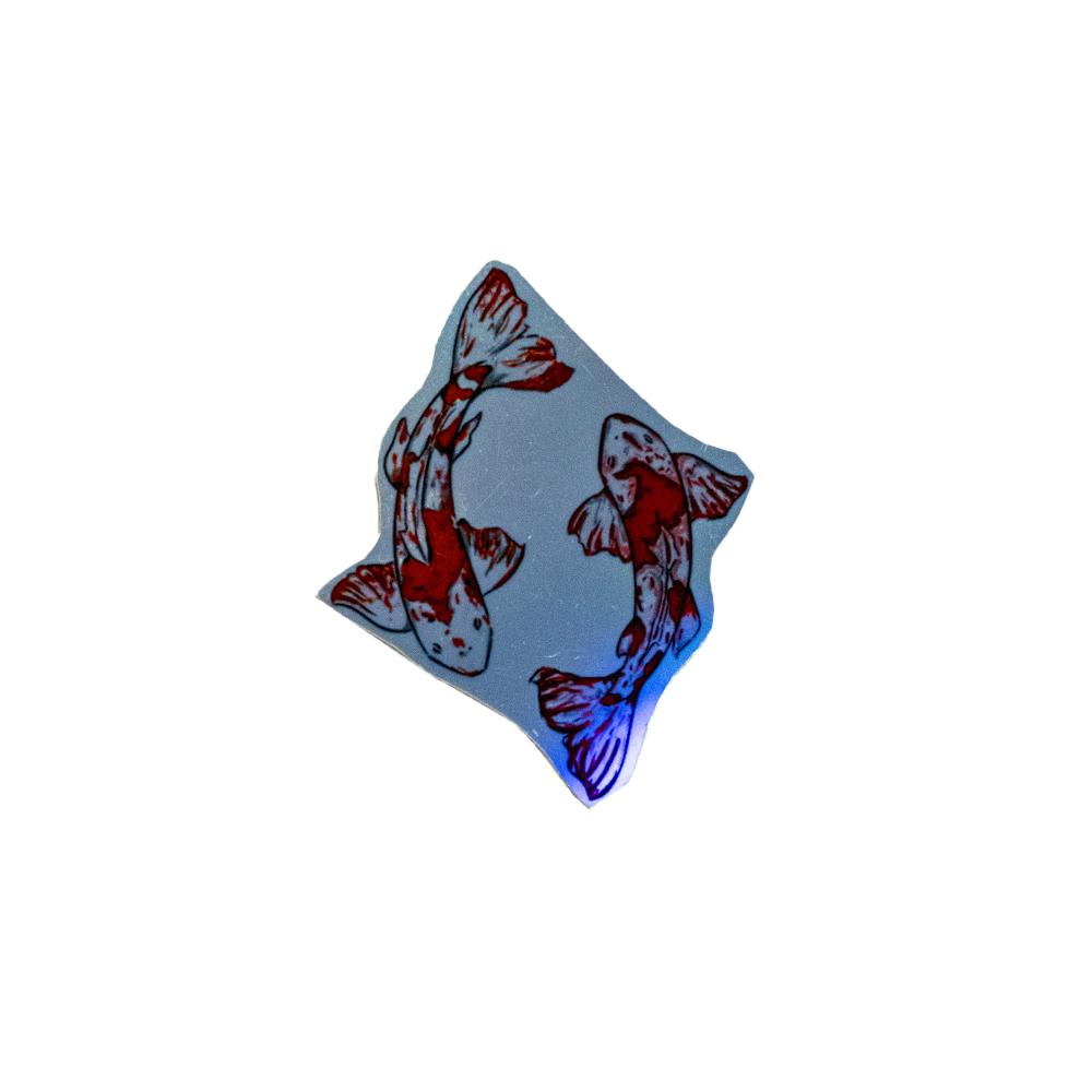 STICKER CARPE KOI